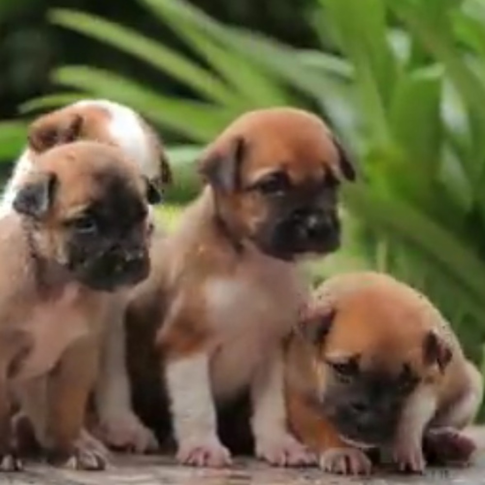 Meet your Posher, Liam