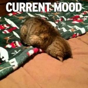 Meet your Posher, Leanne