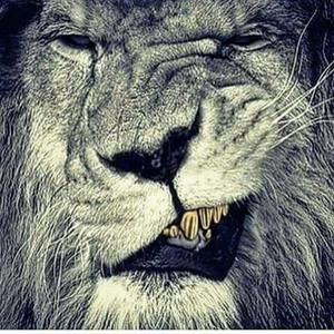 Meet your Posher, Aj