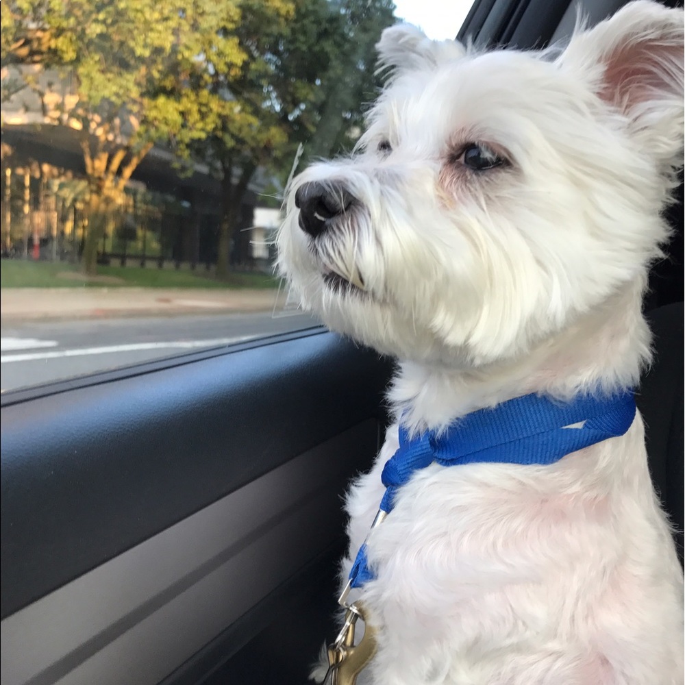 Meet your Posher, Eden