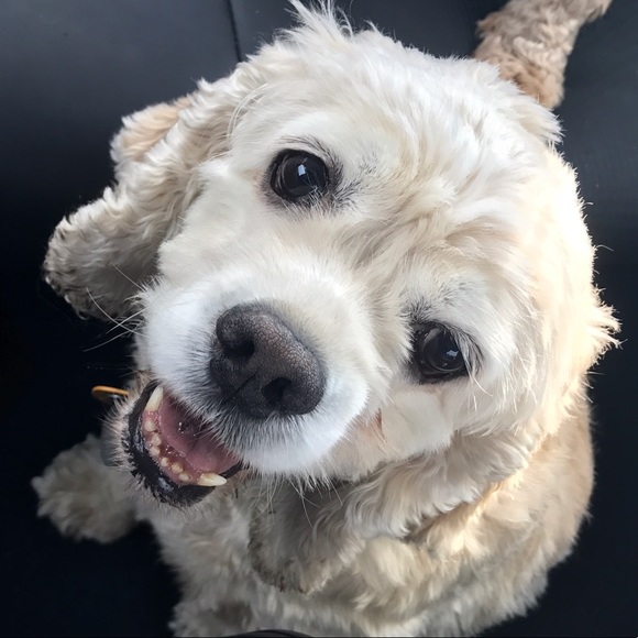 Meet your Posher, Marie - Picture 3 of 3