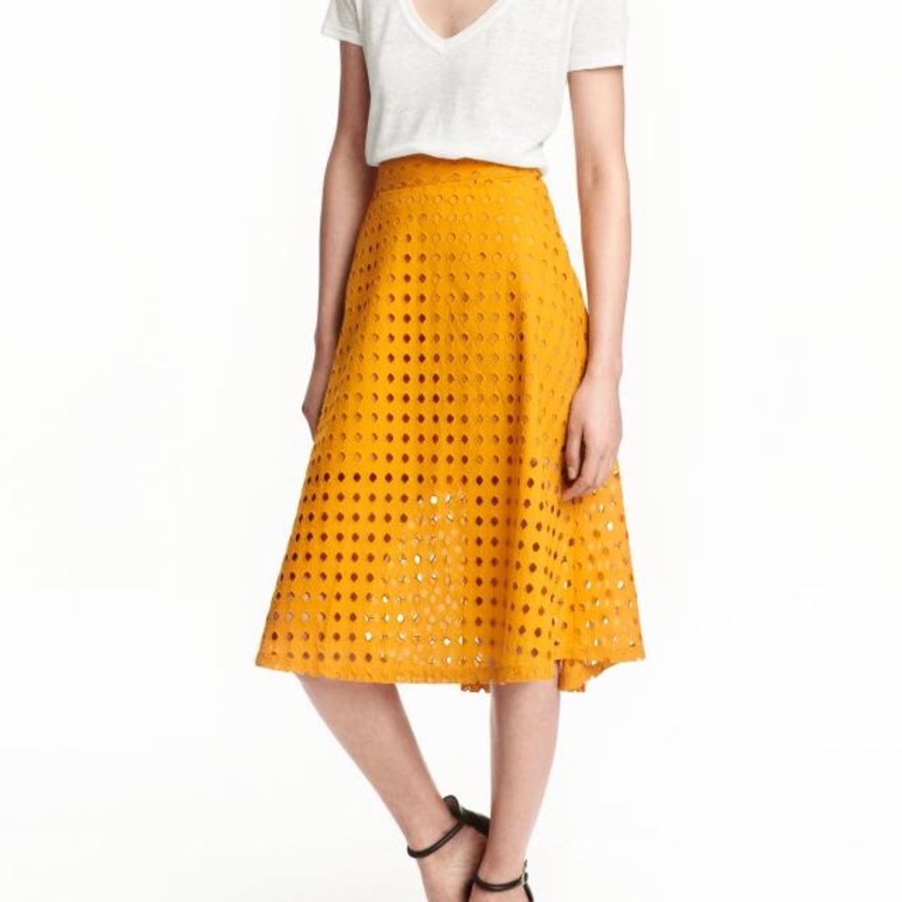 NWOT H&M Midi Skirt ✨