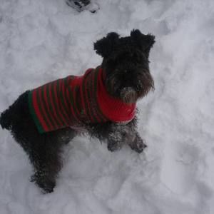 Meet your Posher, Jacob