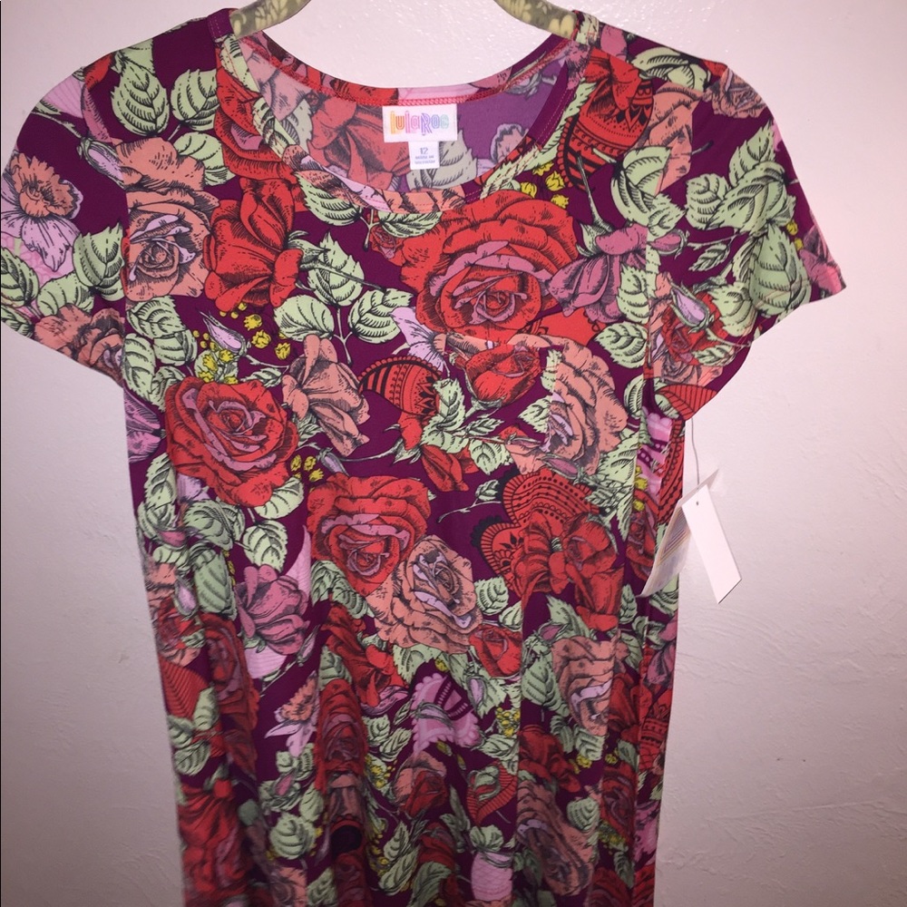Lularoe Scarlett size 12
