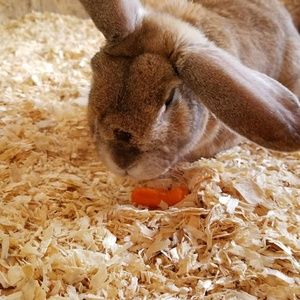 Meet your Posher, Robyn