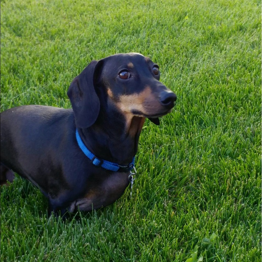 Meet your Posher, Katey