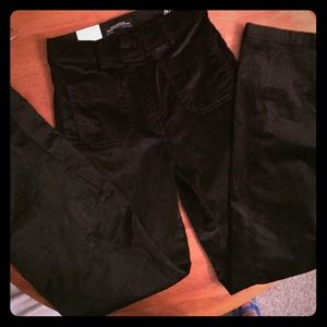 70's tribute velvet black pant