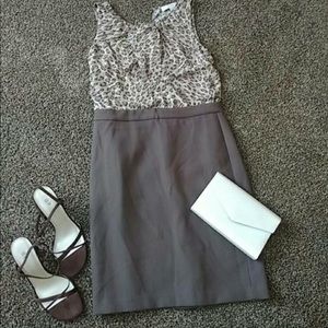 **CLEARANCE**Sleeveless Dress LOFT Leopard Size 6