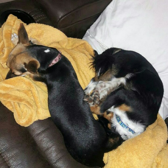 Meet your Posher, Jonathan - Picture 3 of 8