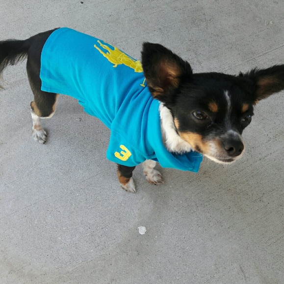 Meet your Posher, Jonathan - Picture 2 of 8