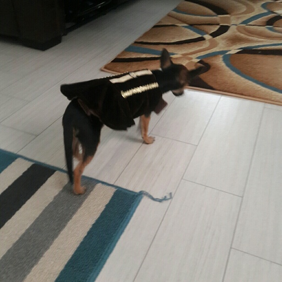 Meet your Posher, Jonathan - Picture 4 of 8