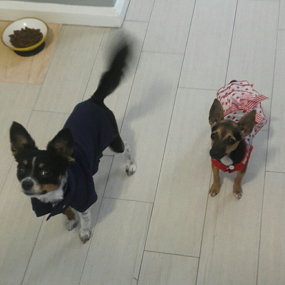 Meet your Posher, Jonathan - Picture 5 of 8