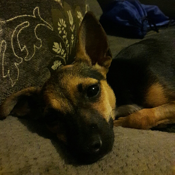 Meet your Posher, Jonathan - Picture 7 of 8