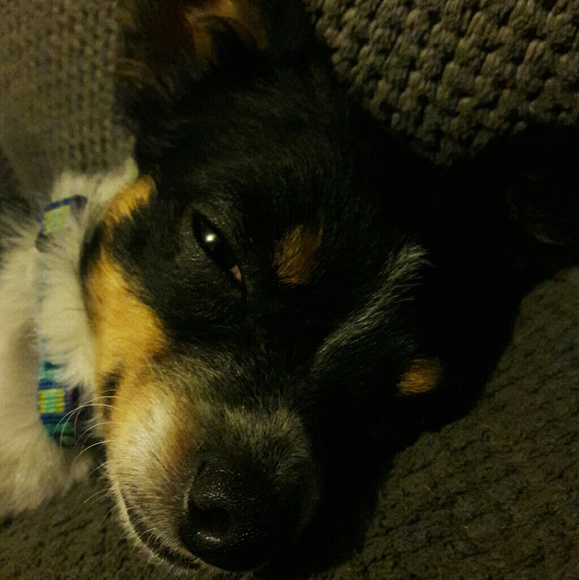 Meet your Posher, Jonathan - Picture 8 of 8