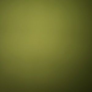 Meet your Posher, Jada