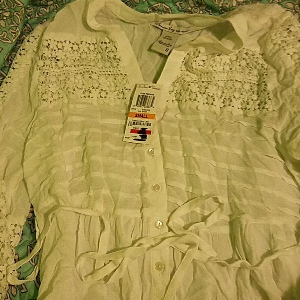 Sheer quarter length sleeve lace blouse