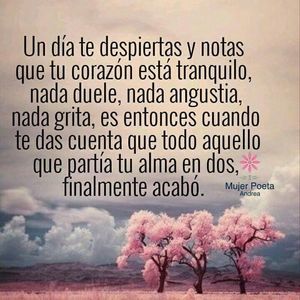 Meet your Posher, Mariposa