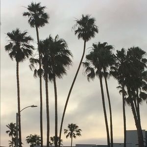 Meet your Posher, Joe