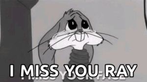 Meet your Posher, Ray