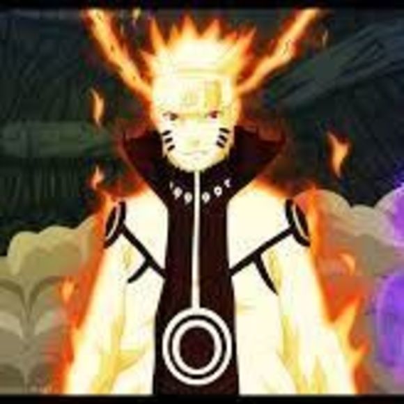 Meet your Posher, Dalla - Picture 1 of 1