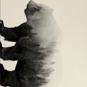 Meet your Posher, Jose