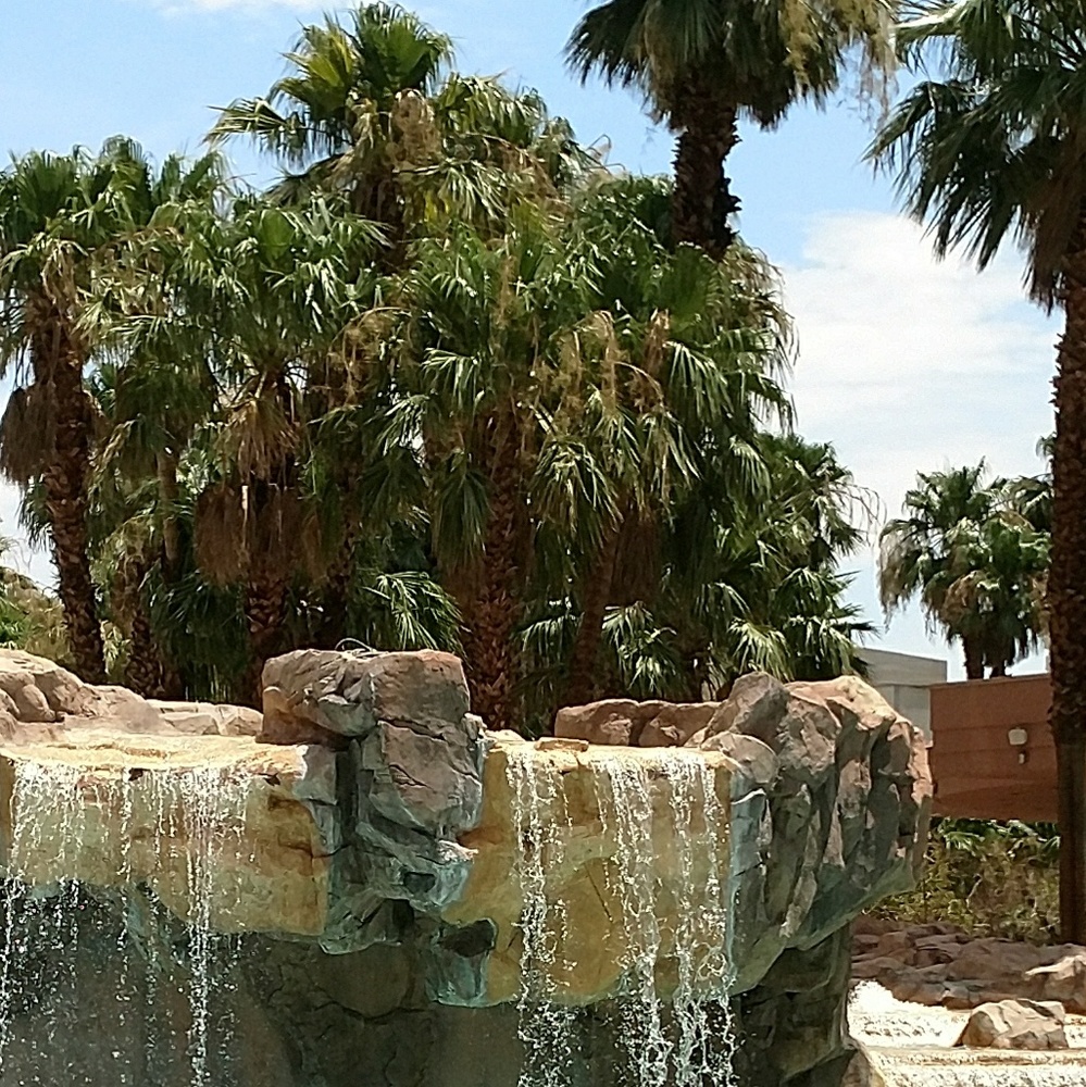 Meet your Posher, Kristy