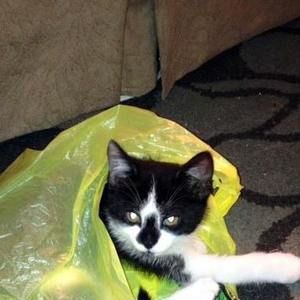 Meet your Posher, Christine