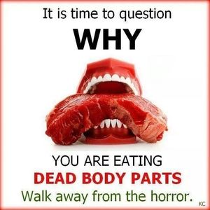 Meet your Posher, Adriana