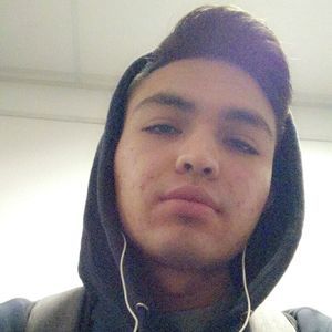 Meet your Posher, Gilbert