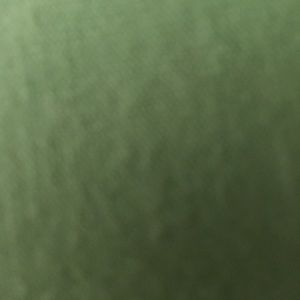 Meet your Posher, Jamia