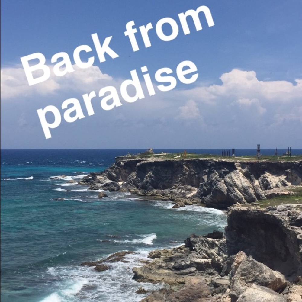 Back from the Island