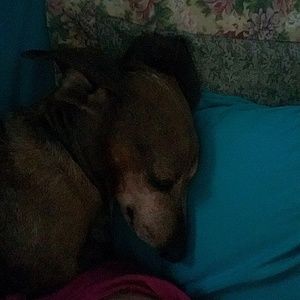 Meet your Posher, Paula