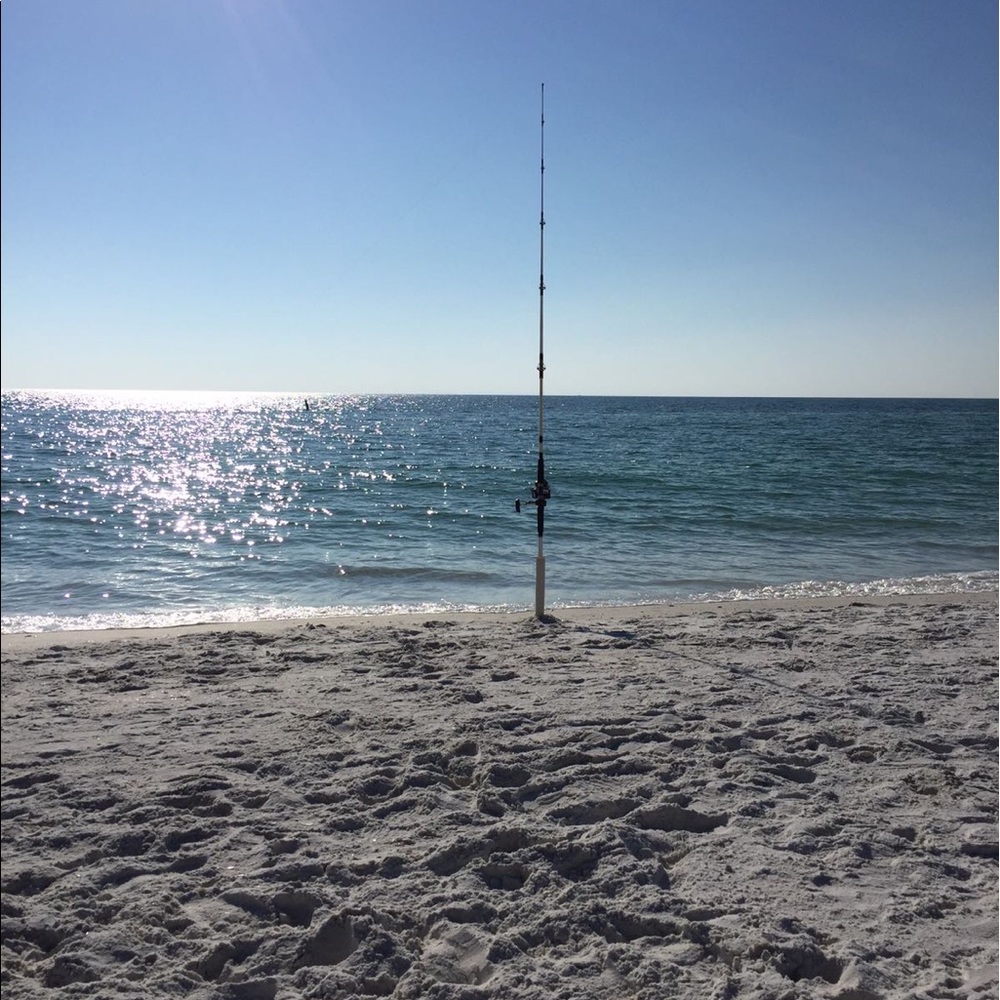 Meet your Posher, Bruce