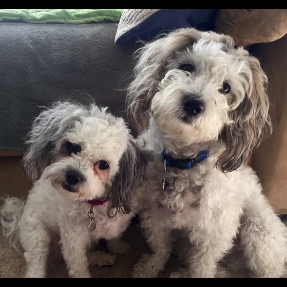 Meet your Posher, Kimberlee - Picture 1 of 1