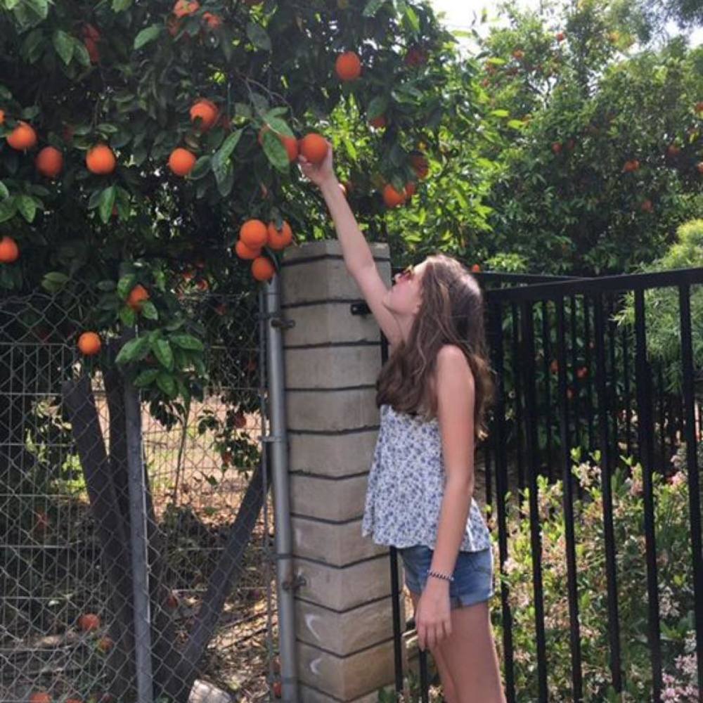 Meet your Posher, Calista