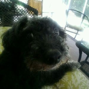 Meet your Posher, Kim