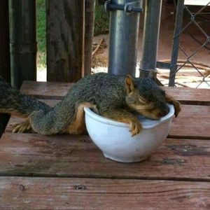 Meet your Posher, Ann