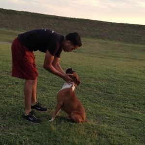 Meet your Posher, Luis