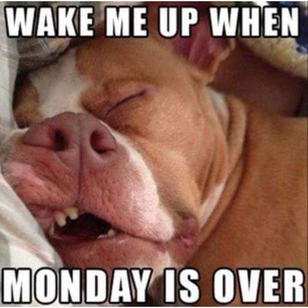 HAPPY MONDAY AND HAPPY SHOPPING!