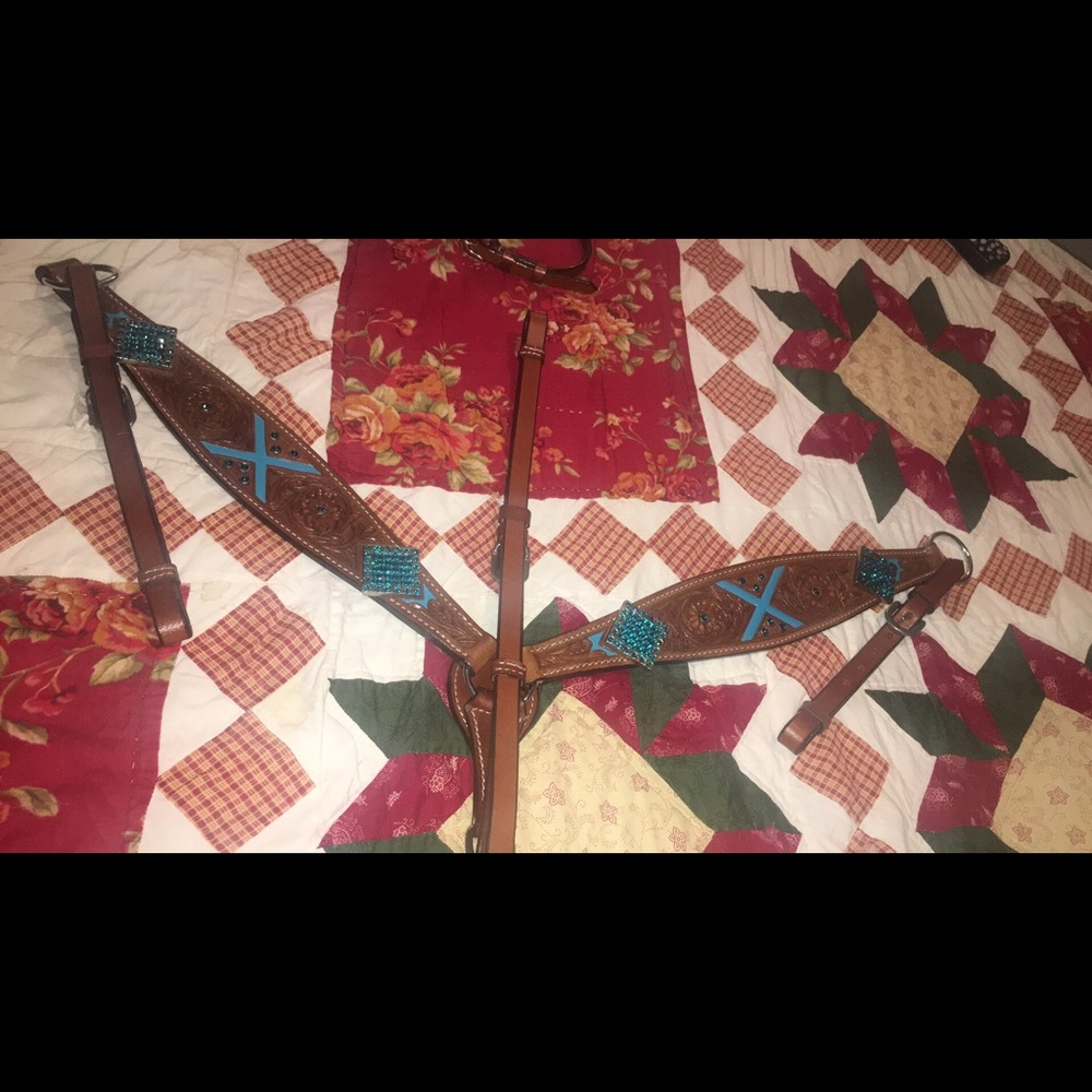 Head stall and breast collar