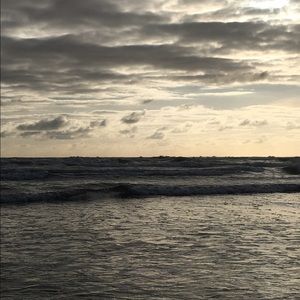 Meet your Posher, Ellie