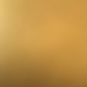 Meet your Posher, Vernon