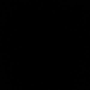 Meet your Posher, Allan