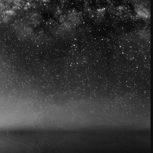 Meet your Posher, Bruce