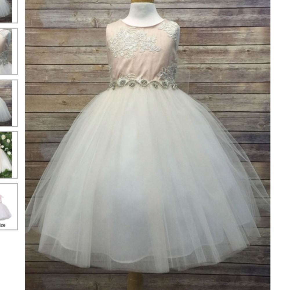 Blush Pink Flower Girl Dress-NEVER WORN!!!!!