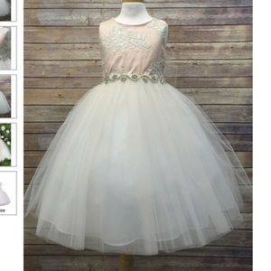 Blush Pink Flower Girl Dress-NEVER WORN!!!!!