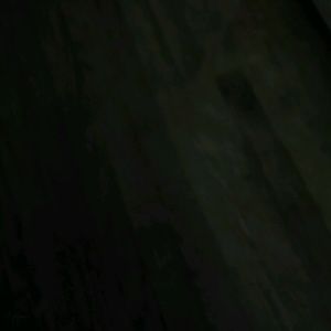 Meet your Posher, Lou