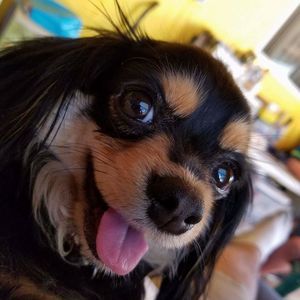 Meet your Posher, Sandra