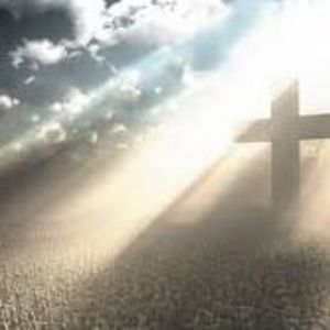 Meet your Posher, Betty