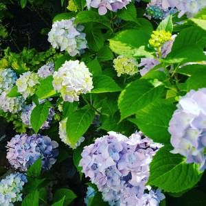 Meet your Posher, Lynne